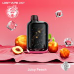 پاد یکبار مصرف لاست ویپ اوریون بار 50000 پاف (قابل شارژ) – LOST VAPE ORION BAR 50.000 PUFFS DISPOSABLE POD - تصویر 4
