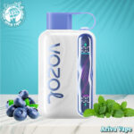 وزول استار 40000 پاف بلوبری نعنا، وزول 40000پاف بلوبری نعنا، وزول بلوبری نعنا، وزول 40000پاف، وزول استار، بلوبری نعنا وزول، vozol 40k